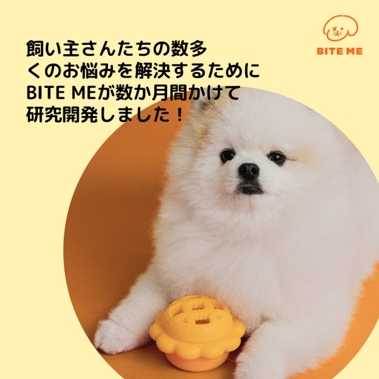 8809904841021